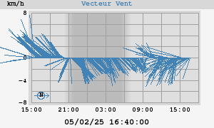 Wind Vector