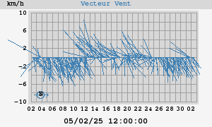 Wind Vector