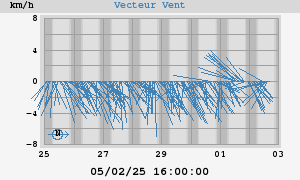 Wind Vector