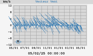 Wind Vector